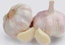 Garlic: A ‘Wonder Drug’ and ‘Wonder Medicine’