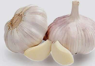 Garlic: A ‘Wonder Drug’ and ‘Wonder Medicine’