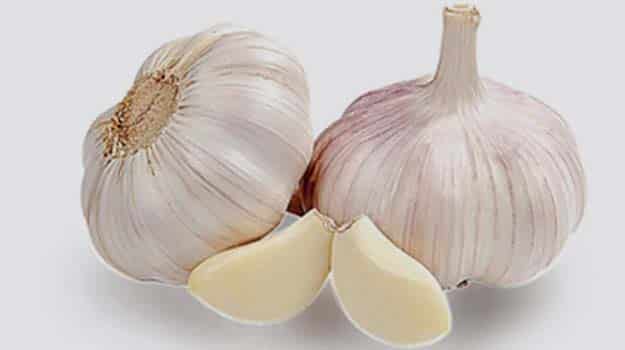 Garlic: A ‘Wonder Drug’ and ‘Wonder Medicine’